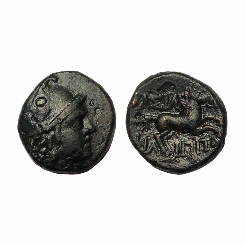 Regno Di Macedonia – Filippo V (220/179 a.C.) – Ae16 – Perseo / Cavallo