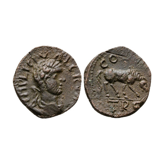 Valeriano I – Troade, Alexandreia – Bronzo Æ20 – Cavallo (Rara)