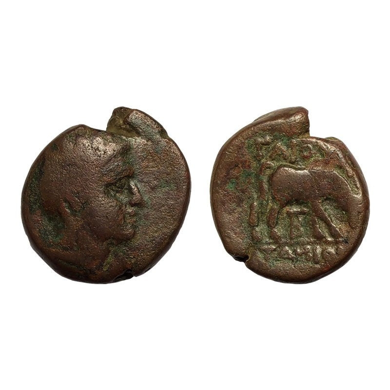 Macedonia, Bottiea (Dominio Romano) – Ae20 – Dopo 148 a.C.