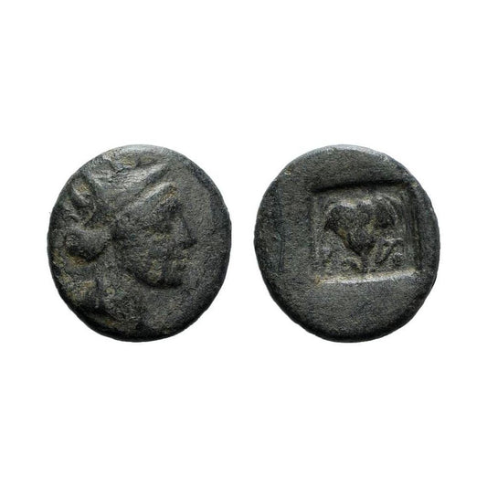 Rodi ( Isole Della Caria ) – Ae11,5 – 188/184 a.C. – Rosa